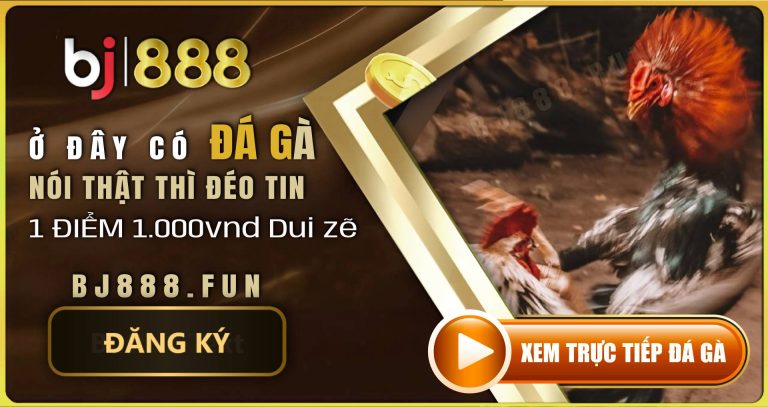 Đá gà môn thể thao cá cược được đón chờ năm 2025 tại BJ888